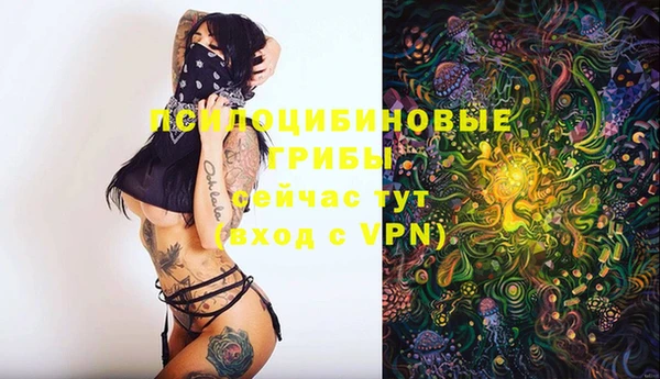бошки Сатка