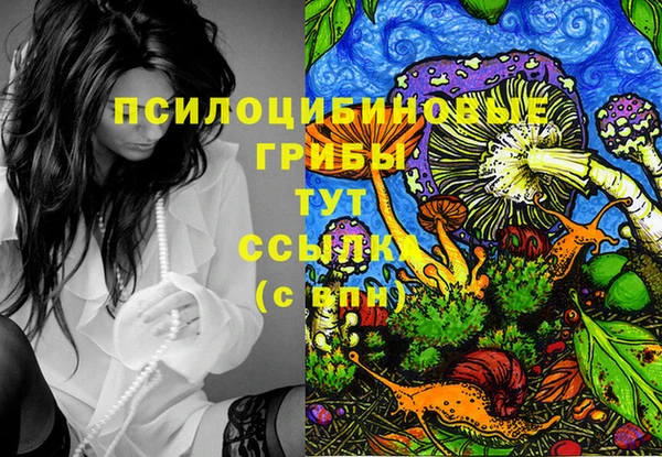 сатива Алзамай