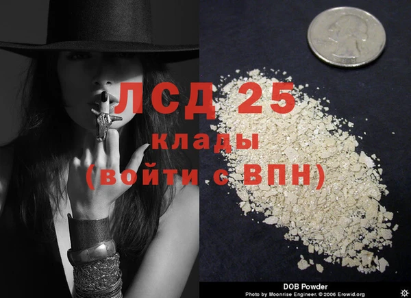 индика Алексеевка