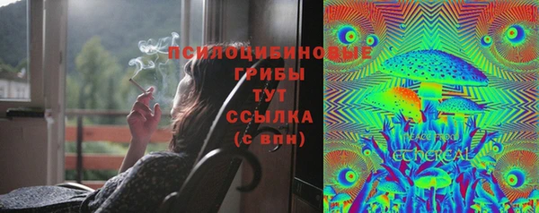 индика Алексеевка