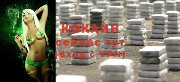 сатива Алзамай