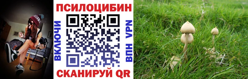 Галлюциногенные грибы GOLDEN TEACHER Анива